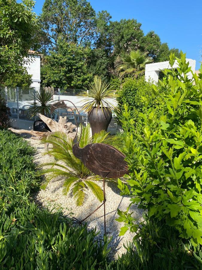 Jm Vacances Serignan Studio 外观 照片